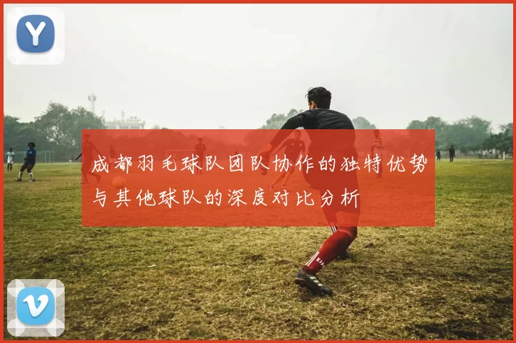 成都羽毛球队团队协作的独特优势与其他球队的深度对比分析