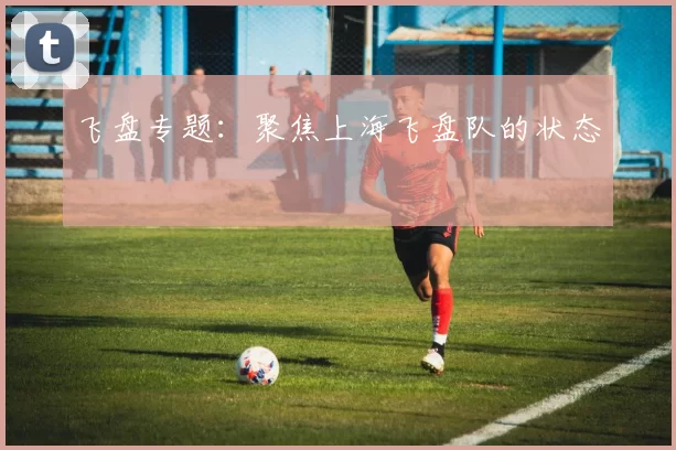 飞盘专题：聚焦上海飞盘队的状态