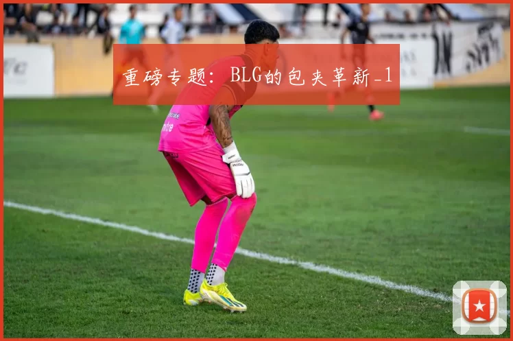 重磅专题：BLG的包夹革新_1