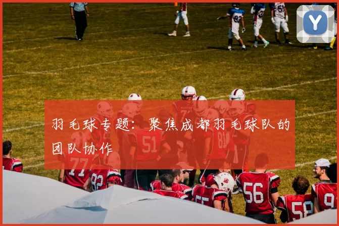 羽毛球专题：聚焦成都羽毛球队的团队协作