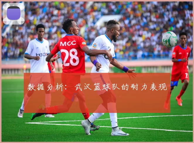 数据分析：武汉篮球队的耐力表现