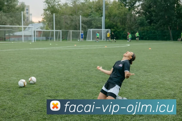 乐鱼体育平台生态图